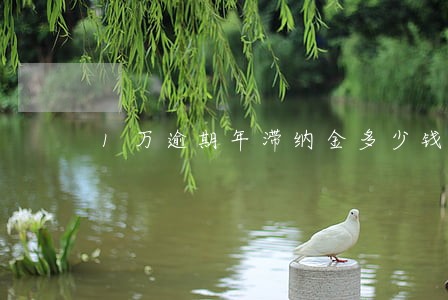 1万逾期年滞纳金多少钱 1万逾期年滞纳金多少钱