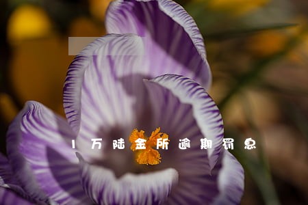 1万陆金所逾期罚息 1万陆金所逾期罚息
