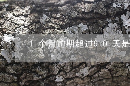 1个月逾期超过90天是什么意思 1个月逾期超过90天是什么意思