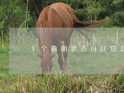 1个逾期状态可以贷款吗 1个逾期状态可以贷款吗