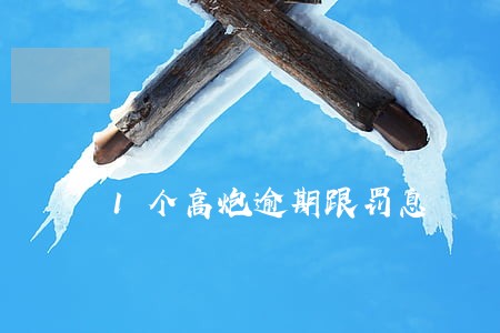 1个高炮逾期跟罚息 1个高炮逾期跟罚息