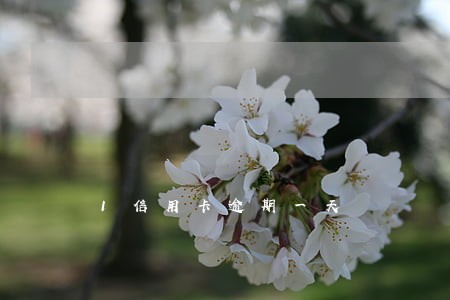 1信用卡逾期一天 1信用卡逾期一天