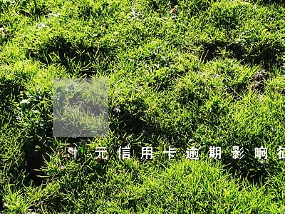 1元信用卡逾期影响征信吗 1元信用卡逾期影响征信吗