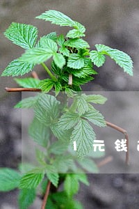 1元钱逾期三个月怎么处理 1元钱逾期三个月怎么处理