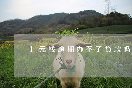 1元钱逾期办不了贷款吗 1元钱逾期办不了贷款吗