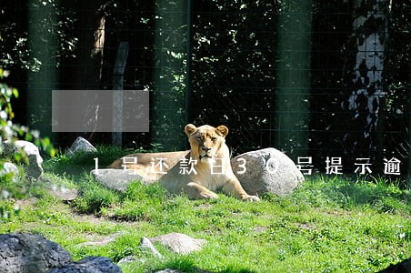 1号还款日30号提示逾期 1号还款日30号提示逾期