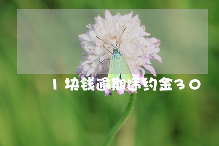 1块钱逾期违约金30 1块钱逾期违约金30