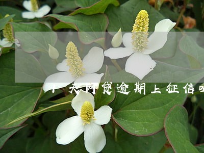 1天网贷逾期上征信吗 1天网贷逾期上征信吗