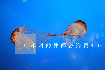 1小时的律师咨询费80 1小时的律师咨询费80