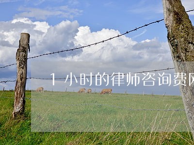 1小时的律师咨询费网上 1小时的律师咨询费网上