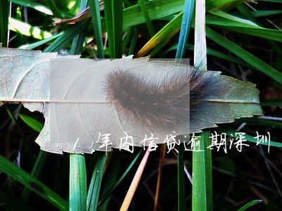 1年内信贷逾期深圳 1年内信贷逾期深圳