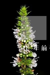 1年前有过信用卡逾期严重吗