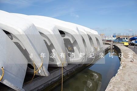 1年没有逾期记录可以买车吗