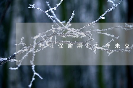 1年社保逾期10年未交 1年社保逾期10年未交