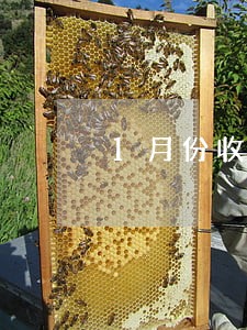 1月份收到法院电话称被起诉了 1月份收到法院电话称被起诉了