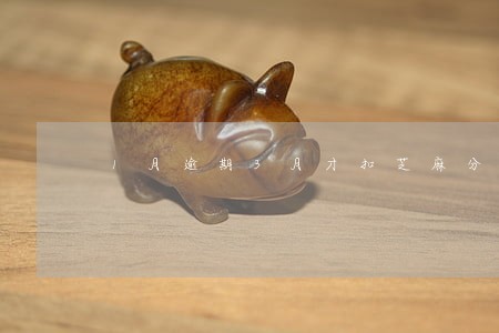 1月逾期3月才扣芝麻分 1月逾期3月才扣芝麻分