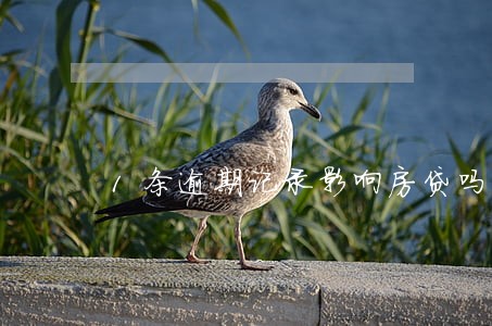 1条逾期记录影响房贷吗 1条逾期记录影响房贷吗