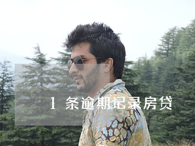 1条逾期记录房贷 1条逾期记录房贷