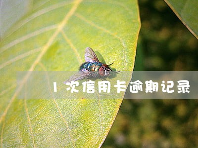 1次信用卡逾期记录 1次信用卡逾期记录