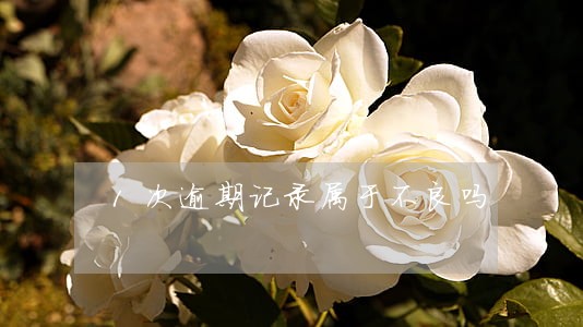 1次逾期记录属于不良吗 1次逾期记录属于不良吗