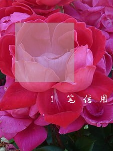 1笔信用卡逾期会影响房贷吗 1笔信用卡逾期会影响房贷吗