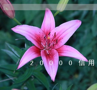 20000信用逾期会上门吗 20000信用逾期会上门吗