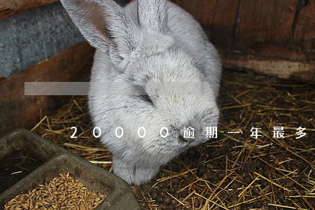 20000逾期一年最多多少罚息 20000逾期一年最多多少罚息