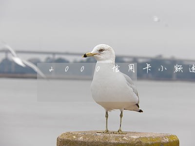 2000信用卡小额逾期 2000信用卡小额逾期