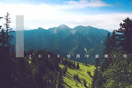 2000信用卡逾期1年要还多少 2000信用卡逾期1年要还多少
