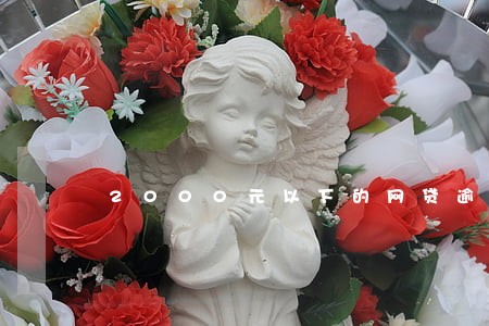 2000元以下的网贷逾期后果 2000元以下的网贷逾期后果