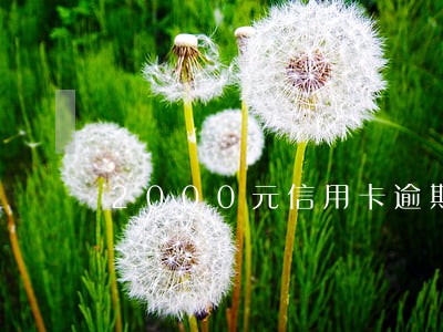 2000元信用卡逾期12年