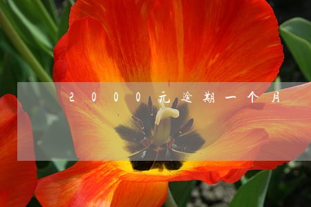 2000元逾期一个月 2000元逾期一个月