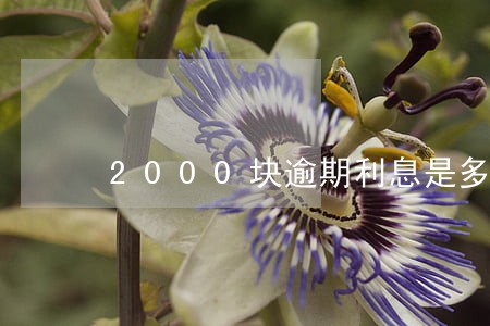 2000块逾期利息是多少 2000块逾期利息是多少