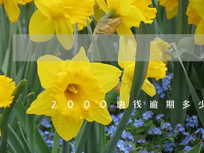 2000块钱逾期多少利息 2000块钱逾期多少利息