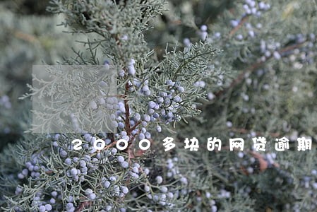 2000多块的网贷逾期 2000多块的网贷逾期