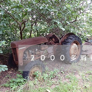 2000多消费贷款逾期 2000多消费贷款逾期