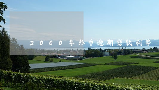 2000年外币逾期贷款利率 2000年外币逾期贷款利率