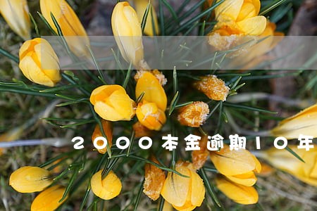 2000本金逾期10年 2000本金逾期10年