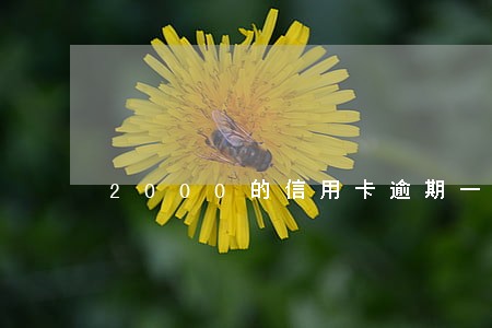 2000的信用卡逾期一年利息 2000的信用卡逾期一年利息
