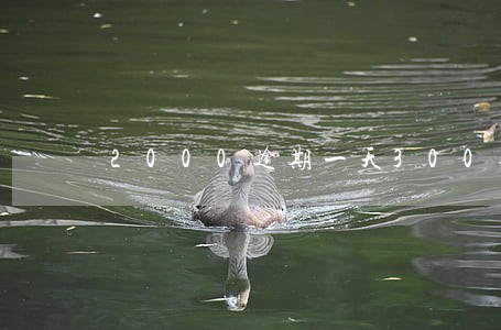 2000逾期一天300合法吗 2000逾期一天300合法吗