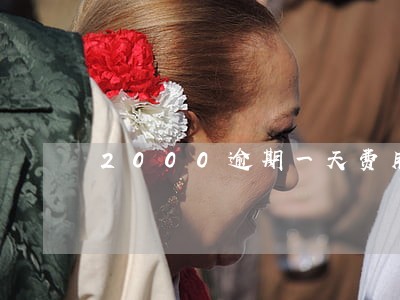 2000逾期一天费用多少钱 2000逾期一天费用多少钱