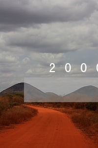 2000逾期一年还多少