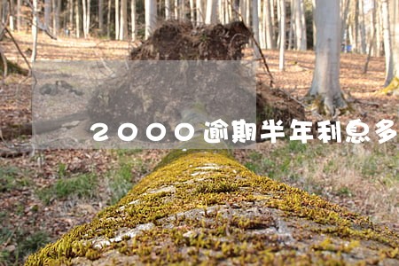 2000逾期半年利息多少 2000逾期半年利息多少
