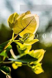 2000额度信用卡逾期很久 2000额度信用卡逾期很久