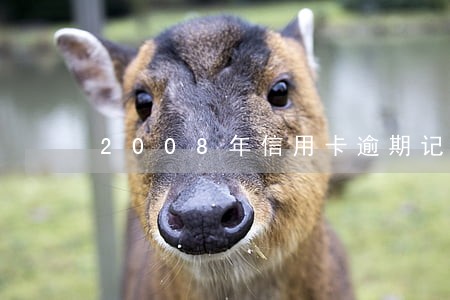 2008年信用卡逾期记录 2008年信用卡逾期记录