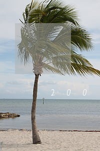 200万借款有借条却被法院驳回 200万借款有借条却被法院驳回