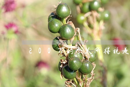 200万的个人所得税是多少 200万的个人所得税是多少