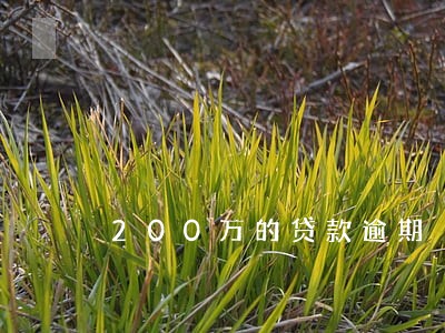 200万的贷款逾期 200万的贷款逾期