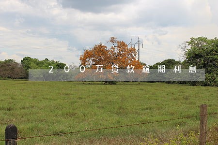 200万贷款逾期利息