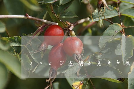 200万逾期利息多少钱 200万逾期利息多少钱